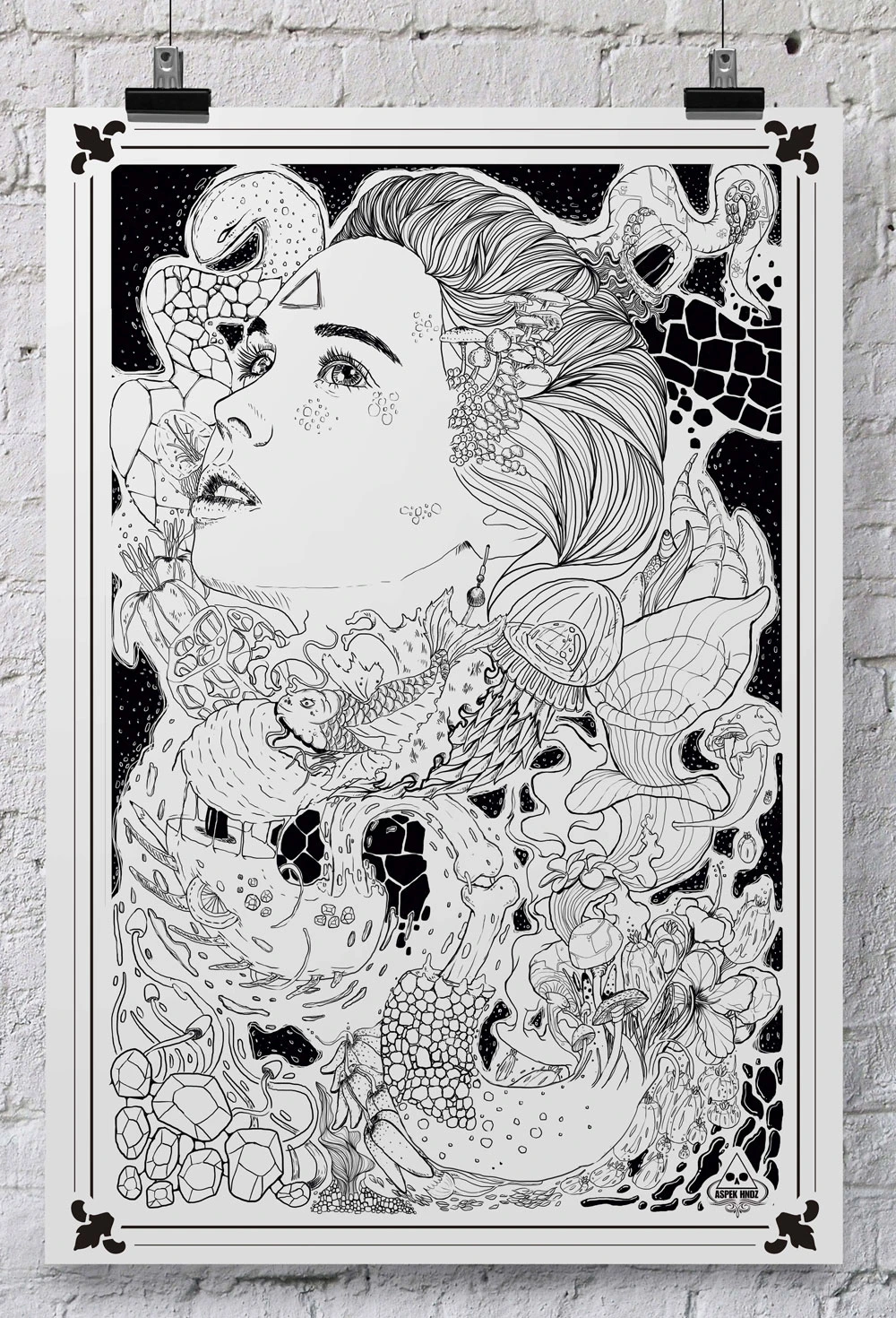 ilustracion los cabos